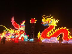 -武汉园博园(武汉自然博物馆)