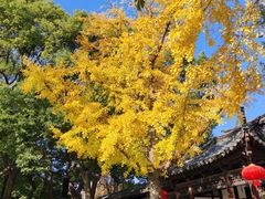 -常熟方塔园