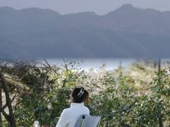 -四明山国家森林公园