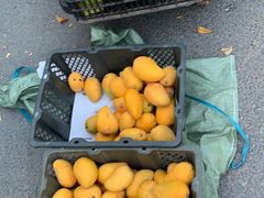 -羊栏农贸市场(羊新路店)