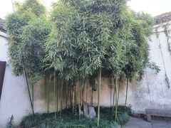 -王阳明故居