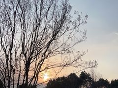 -桐乡红杉邨