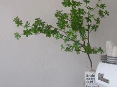 -Eu2+ coffee(上大路店)