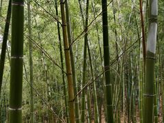 -陶祖圣境风景区