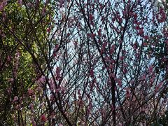 -南京市江宁方山