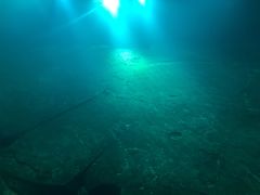 -白鹤梁水下博物馆