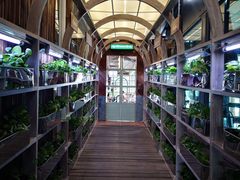 -Ohkajhu Organic Farm Sansai