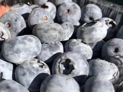 -唐桥水果批发市场