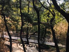 -红螺寺