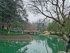 -九曜山