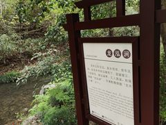 -龙井村