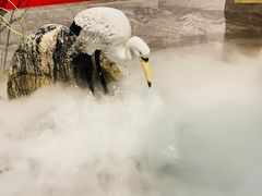 -禧鳳記·猪肚鸡火锅(玖洲道店)