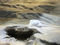 -香港海洋公园