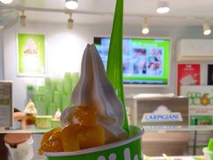 -Salud撒露欧洲冻酸奶(蓝色港湾店)