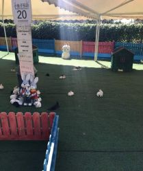 -萌宠亲子动物乐园(槐房万达店)