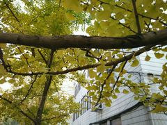 -辽宁大学(崇山校区)