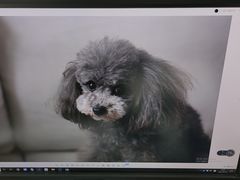 -PETKIT小佩宠物(古北店)