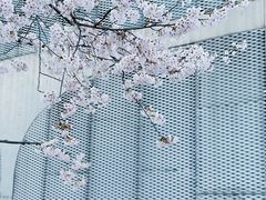 -龙美术馆(西岸馆)