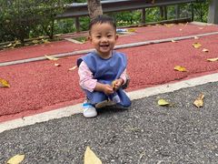 -火炉山森林公园