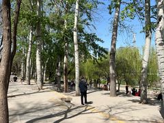 -元大都城垣遗址公园