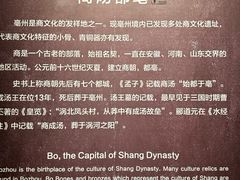 -亳州博物馆