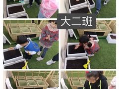 -天津市盛世星光幼儿园