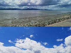 -深圳湾公园(南山区)