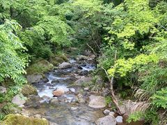 -大围山国家森林公园