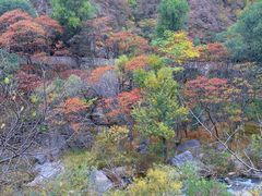 -百里山水画廊乌龙峡谷