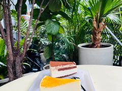 -tea'stone (万象天地店)