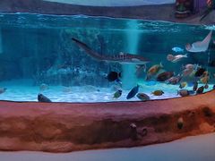 -沈阳海洋探索中心