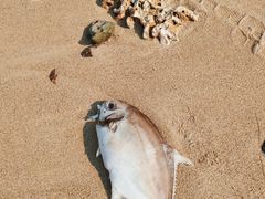 -三亚西岛海洋文化旅游区