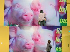 -chi K11艺术空间展览厅