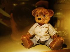 -济州岛泰迪熊博物馆