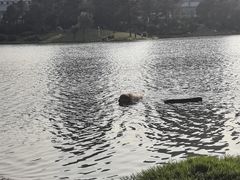 -美兰湖景区