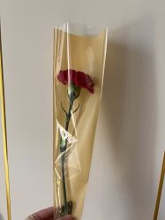 -中法母婴月子中心(南湖创始店)