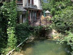 -老张烤羊(王哥庄店)