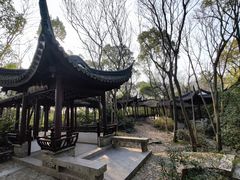 -上海佘山国家森林公园天马山园