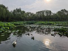 -玉泉公园
