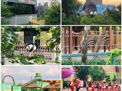 -广州融创文旅城