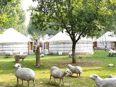 -九十九顶毡房(阜石路店)