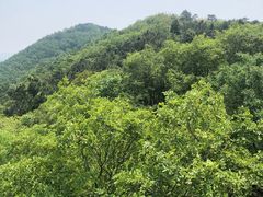 -南京市无想山景区