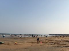 -日照海滨国家森林公园