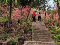 -十九峰景区-倒脱靴