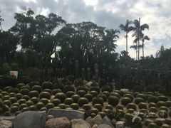 -胡里山炮台