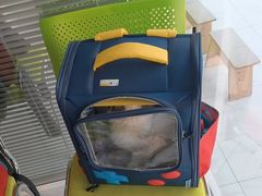 -艾吉宠物医院·疑难杂症转诊中心·猫友好(碧江路院)