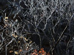 -本溪老边沟风景区