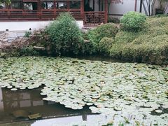 -上海醉白池公园