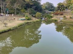 -东莞植物园
