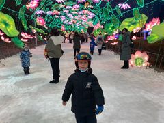 -沈阳奥体冰雪嘉年华